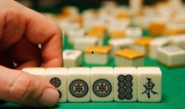 麻将配料爆料视频教程下载,跟随视频教程轻松掌握麻将美食制作技巧